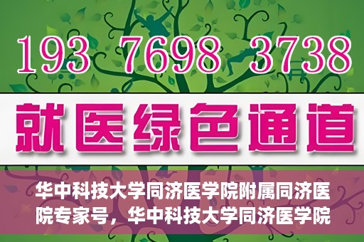 华中科技大学同济医学院附属同济医院专家号，华中科技大学同济医学院附属同济医院专家号解析，权威医疗团队的专业解读