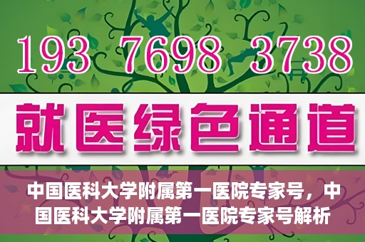 中国医科大学附属第一医院专家号，中国医科大学附属第一医院专家号解析，权威医疗团队的专业解读与诊疗服务