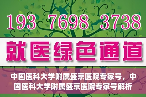 中国医科大学附属盛京医院专家号，中国医科大学附属盛京医院专家号解析，权威医疗团队与精准诊疗服务